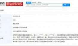 核心爆料最新视频下载,最新视频下载全解析