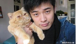 吃瓜娱乐赵小瞒四字真言,揭秘娱乐圈的吃瓜秘籍